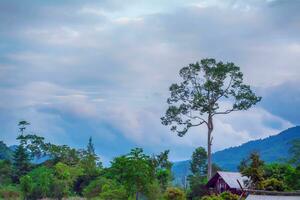 Landscape in Thailand photo