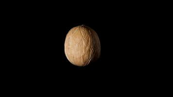 Unpeeled walnut on black background. Side view. rotate 360 isolated on black background slow motion video