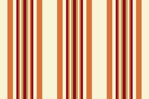 Vertical pattern vector of background lines textile with a fabric texture seamless stripe.
