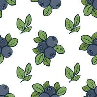 Fresh blueberries seamless pattern vector illustration