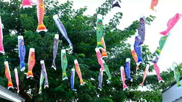 The koi fish flags are fluttering beautifully in the wind. video