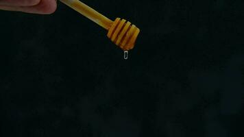 Man's hand holds a honey stick that is dripping onto the floor on a black background. video