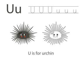 Tracing alphabet letters with cute animals. Color cute urchin. Trace letter U. vector