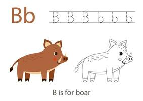 Tracing alphabet letters with cute animals. Color cute brown boar. Trace letter B. vector