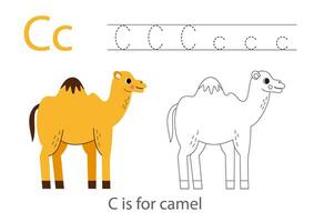 Tracing alphabet letters with cute animals. Color cute camel. Trace letter C. vector