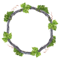 Wreath with green grape leaves and tendrils on grape vine branch. Watercolor illustration isolated on transparent background. Hand drawn natural design element. Round frame for cards, invitations. png