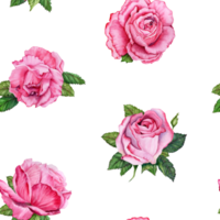 Seamless pattern with pink rose flowers and green leaves. Hand drawn watercolor illustration isolated on transparent background. Floral background for cards, invitations, wrapping and wallpaper png