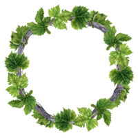 Wreath with green grape leaves on old grape vine branch. Watercolor illustration isolated on transparent background. Hand drawn natural design element. Round frame for cards, invitations, greetings. png