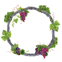 Wreath with green grape leaves and tendrils on grape vine branch. Watercolor illustration isolated on transparent background. Hand drawn design element. Round frame for cards, invitations. png