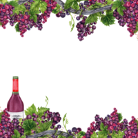 Rand Rahmen mit Trauben von Trauben mit Grün Blätter, Ranke Geäst und ein Wein Flasche. Aquarell Illustration isoliert auf transparent Hintergrund. Karte, Einladungen, Wein Verkostung, Speisekarte Design png