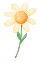 cute White flower with stem cartoon png