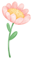 cute Pink flower with stem cartoon png