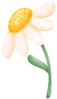 cute White flower with stem cartoon png