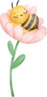 Cute sleeping bee in flower png