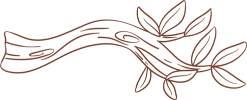 Tree branch outline png