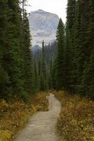 Roads along the trails of Canada photo