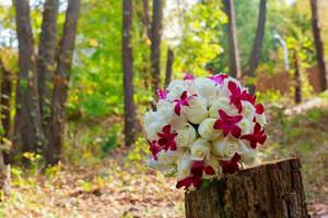 Beautiful, Fresh, and colorful bridal bouquet. photo