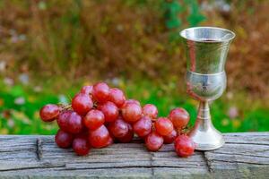 Glass of wine and grapes Jewish holidays photo