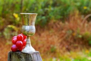 Glass of wine and grapes Jewish holidays photo