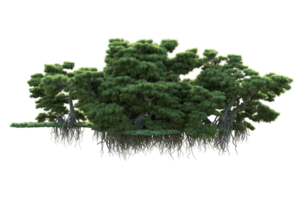 Tropical forest isolated on transparent background. 3d rendering - illustration png