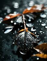 AI generated Autumn leaves and water drops on a black background. Toned. photo