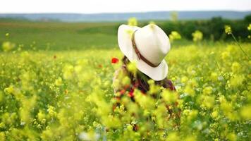 caucasiano mulher segurando uma recentemente coletado grupo do branco margaridas dentro uma lindo Primavera Relva Prado. encontro flores silvestres e desfrutando uma natureza, feriados final de semana aventura, lazer período de férias conceito video