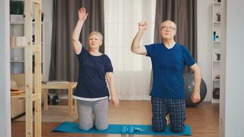 Senior couple enjoying their physical training together. Old person healthy lifestyle exercise at home, workout and training, sport activity at home photo