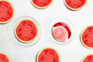 Water Melon Slices. Serum and water melon pieces on a white background, beauty. photo