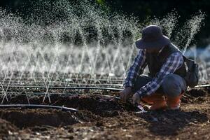 asiático granjero es fijación el obstruido en el manguera de irrigación riego sistema creciente orgánicos planta durante primavera temporada y agricultura concepto foto