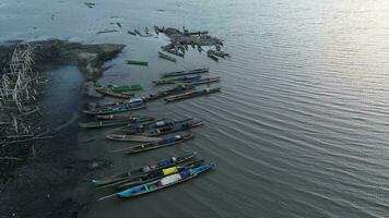 aéreo Visão do barcos em limbo lago. remo barcos deriva sobre a águas do lago limboto. gorontalo, Indonésia video