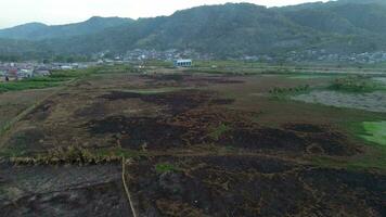 aerial view of land fire on the edge of Lake Limboto video