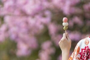 Hand of Japanese woman in traditional kimono dress holding sweet hanami dango dessert while walking in the park at cherry blossom tree during spring sakura festival photo