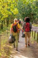 group of volunteer tourists walk together in the forest to collect garbage,concept of ecology and cleanliness of nature photo