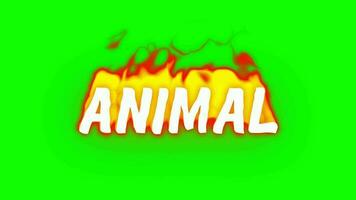 palabra animal en fuego fuego en un verde antecedentes video