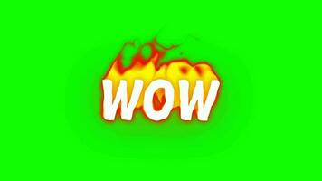 Word Wow that is on Fire in Green Screen. Fire VFX Element. Animated Burning or Engulf in Flames all Caps Text Fire. video