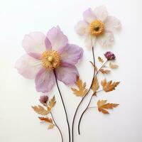 AI generated bouquet of dried flowers, herbarium. autumn composition of flowers and leaves on a white background photo