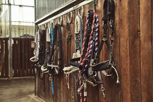 Leather horse bridles and bits hanging on wall of stable with one missing photo