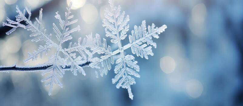 AI generated snow flakes on a branch photo