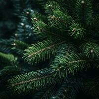 AI generated Close up of green fir tree branches. Christmas or New Year background photo