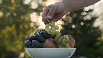 uma do homem mão coloca fruta dentro uma prato em a fundo do a do sol raios. video