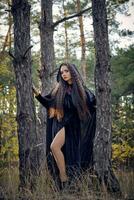Long-haired witch in black, long dress with cape and hood. Posing in pine forest among trees. Spells, magic and witchcraft. Full length portrait. photo