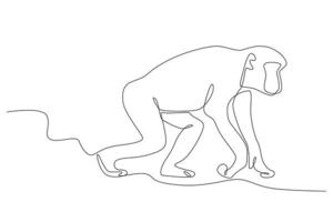 A monkey walking in the forest vector