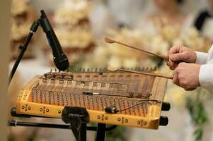 platillos a un boda, ucranio nacional musical instrumento foto