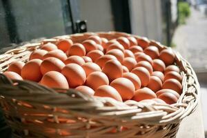 close up of eggs in a bowl. photo