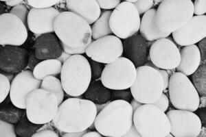 a black and white photo of pebbles