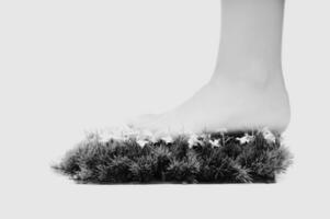 a person's foot is standing on a grassy surface photo