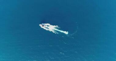 Aerial top view of a white pleasure boat on a summer day. Powerboat turn loop eight on the sea making infinity future concept. video