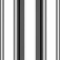 Black and white stripe abstract background. Motion effect. Grayscale fiber texture backdrop and banner. Monochrome gradient pattern and textured wallpaper. photo