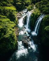 AI generated aerial view of a river flowing through a lush green forest with waterfall photo