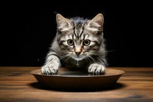 AI Generated Feline home beautiful funny mammal grey animal food tabby cat kitten portrait bowl photo